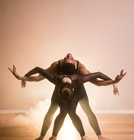 SIA Plateforme en ligne d'apprentissage de disciplines artistiques