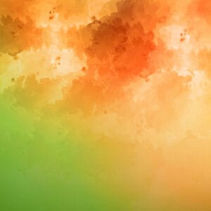 Couleurs orange, vert, marron - Plateforme Sia