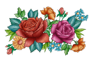 Comment dessiner une rose - Plateforme Sia