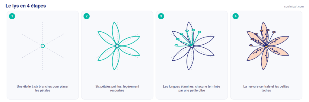 Comment dessiner un lys en 4 étapes : une étoile à six branches, six pétales pointus, les étamines, puis les nervures et les taches.