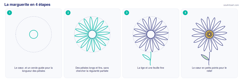 Comment dessiner une marguerite en 4 étapes : le cœur et le cercle guide, des pétales longs et fins, la tige, puis le cœur en points.