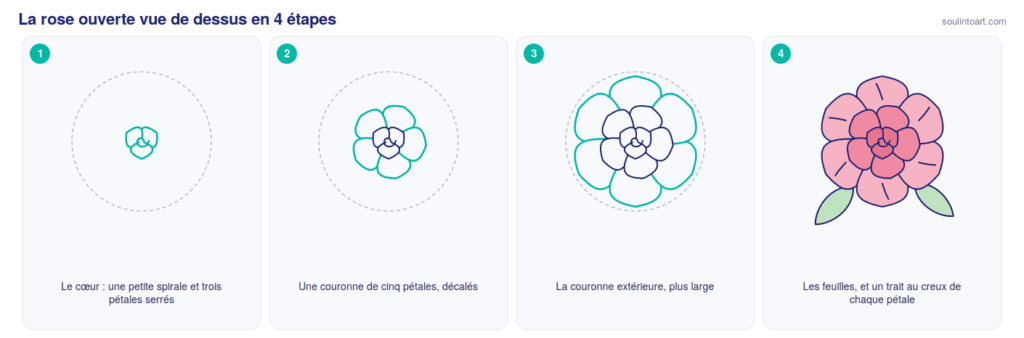 Comment dessiner une rose ouverte vue de dessus en 4 étapes : le cœur serré, une couronne de cinq pétales, la couronne extérieure, puis les feuilles et les plis des pétales.
