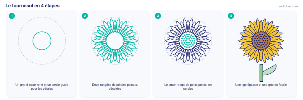 Comment dessiner un tournesol en 4 étapes : un grand cœur rond, deux rangées de pétales pointus, le cœur en points, puis la tige et la feuille.