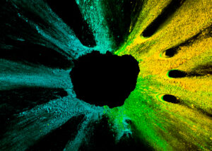 Ce qui brille dans le noir — Peinture