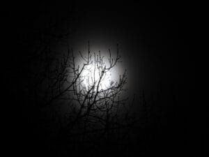 Ce qui brille dans le noir — Photographie